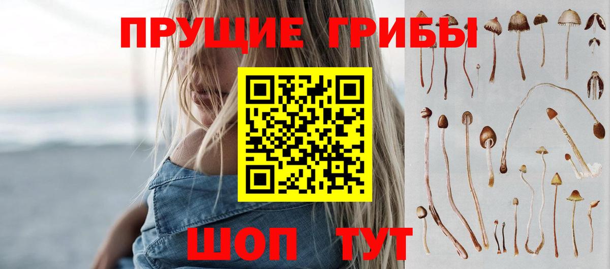 Галлюциногенные грибы Cubensis Сарапул